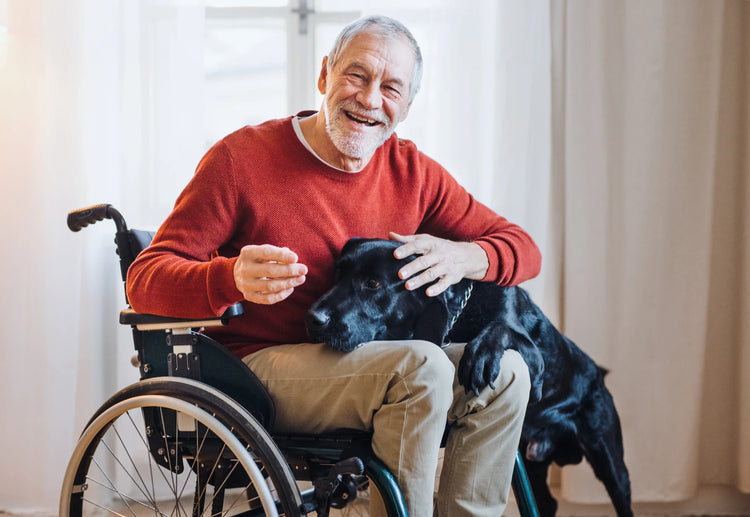 elderly man sitting in wheelchair with dog
