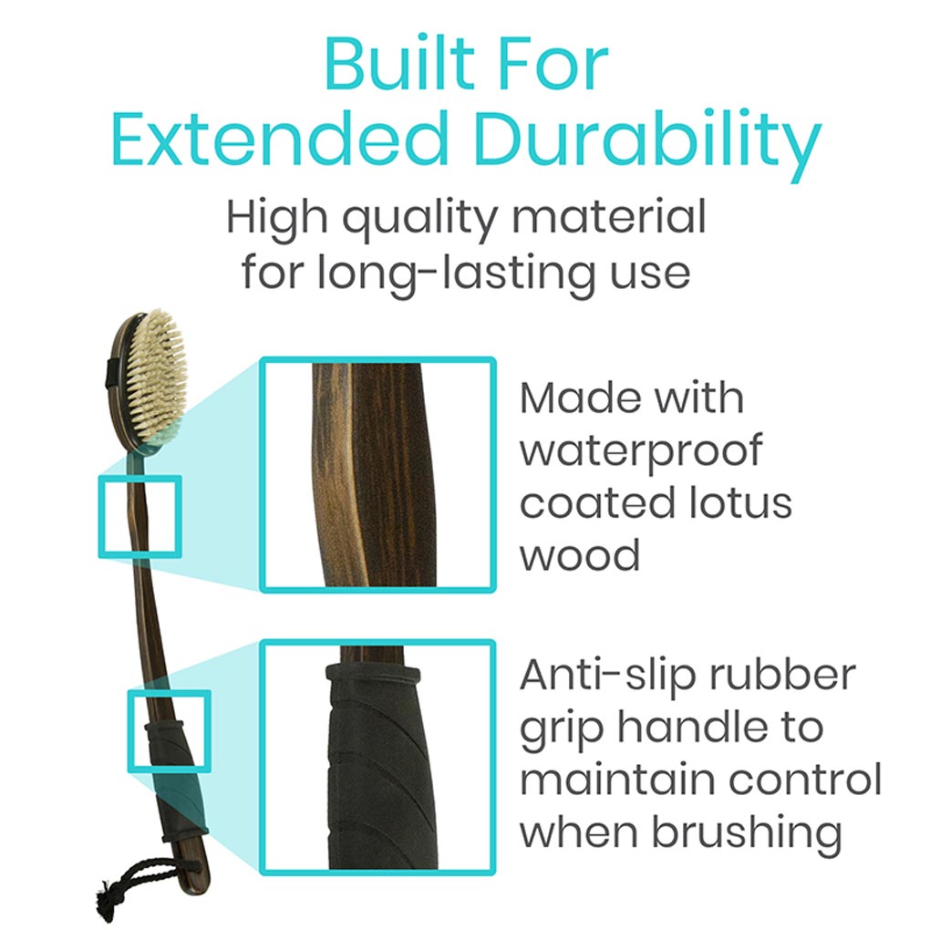 Bristle brush with highlighted features on a white background