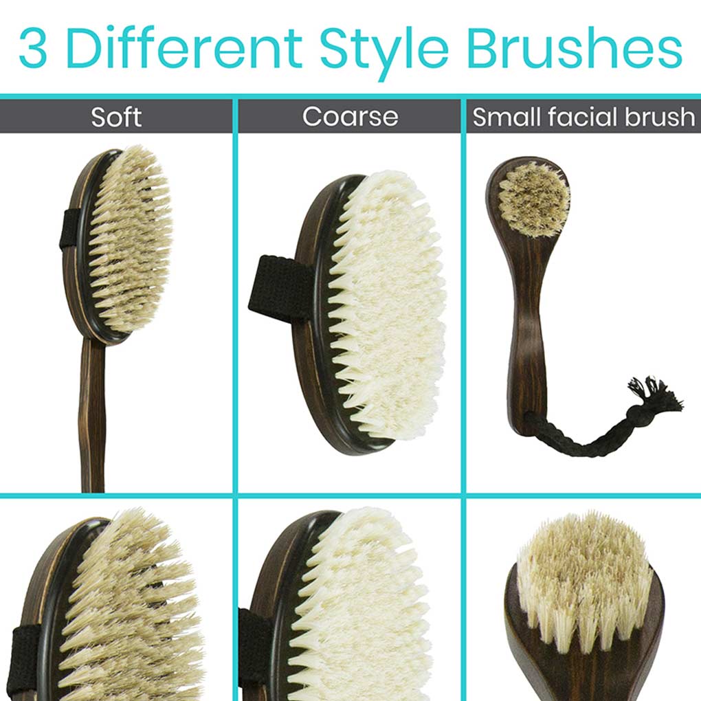 Three different style brushes with soft, coarse, and small facial bristle heads on a white background.