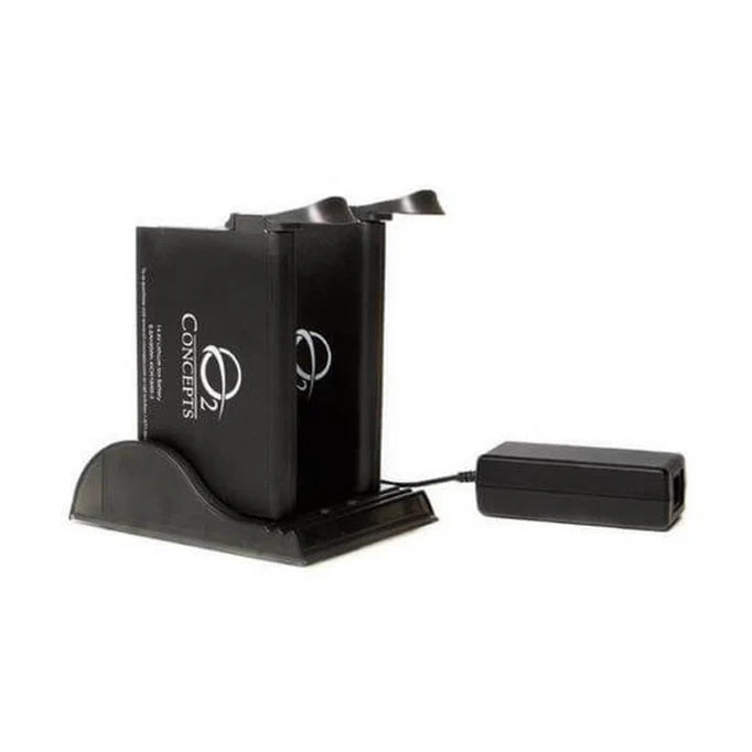 dual battery charger