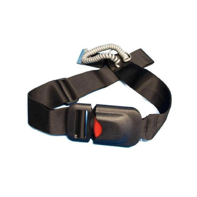 seat belt alarm