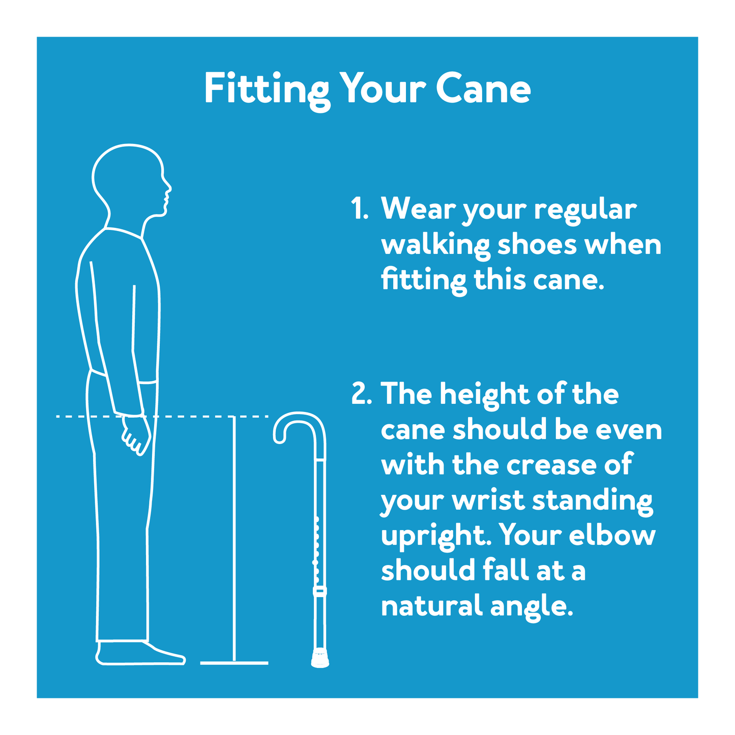 Carex Hiking Cane