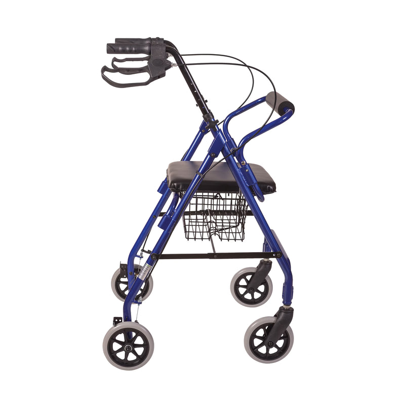 walker side view
