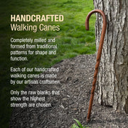 Handcrafted walking cane leaning against a tree with promotional text about its traditional craftsmanship.