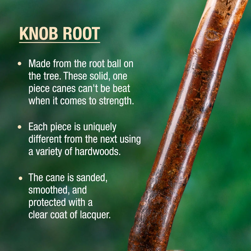 Knob root cane with descriptive text on a green background