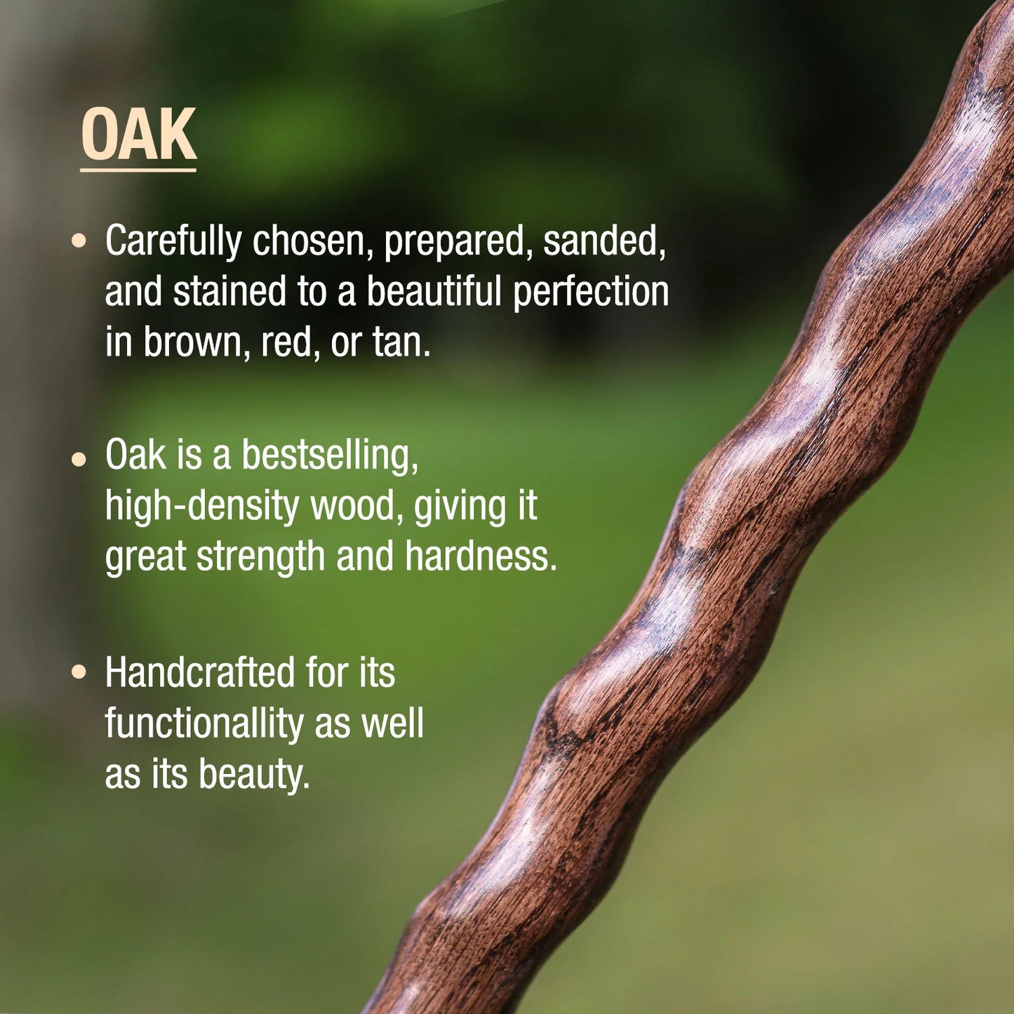 Close-up of oak wood with text about its characteristics on a blurred natural background