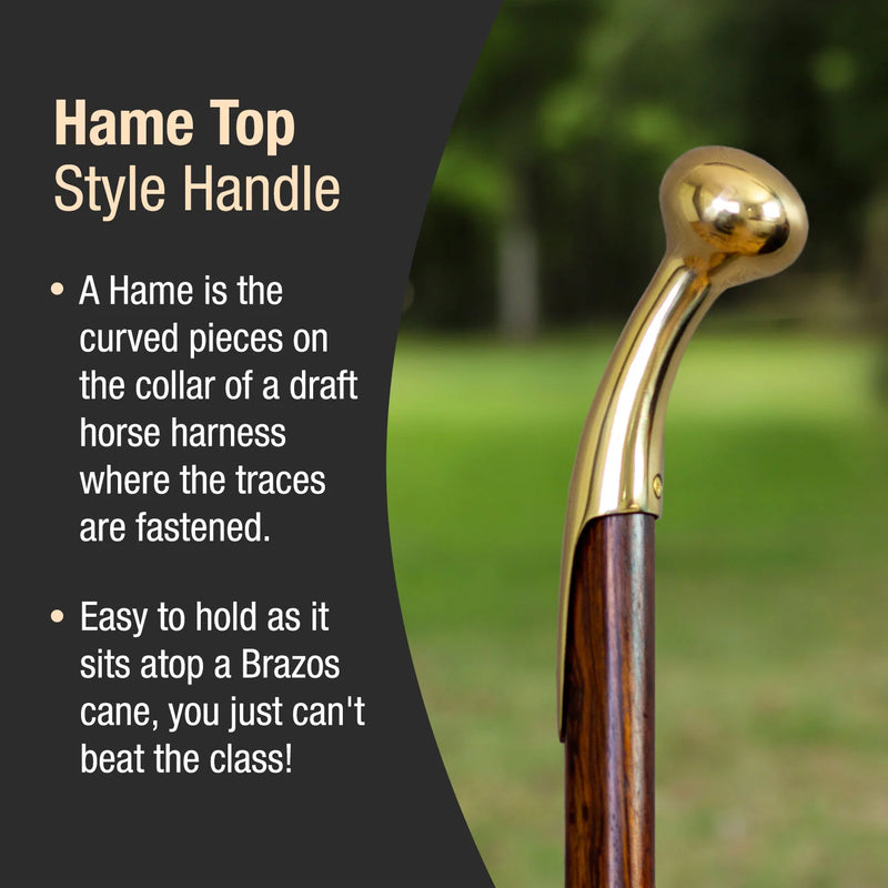 Brazos Twisted Cocobolo Brass Hame Top Wood Walking Cane (37")