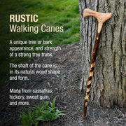 Rustic walking cane leaning against a tree with descriptive text about its features.
