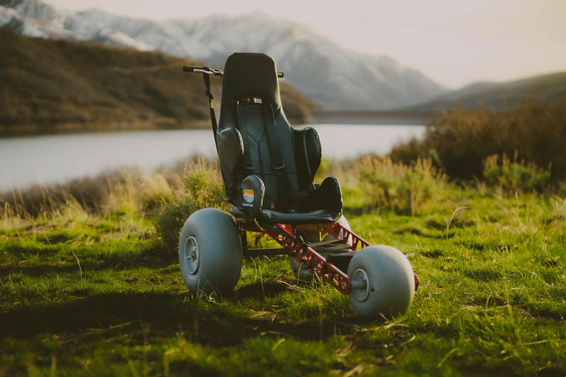 All-terrain wheelchair in a grassy field with mountains and water in the background