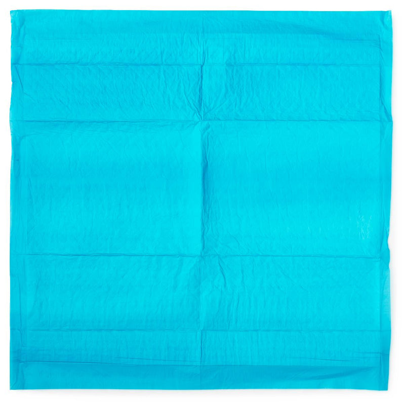 Turquoise underpad on a white background