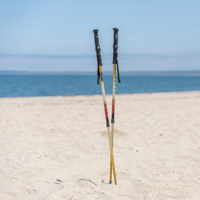 Two hiking poles standing on a sandy beach with ocean and clear sky in the background.