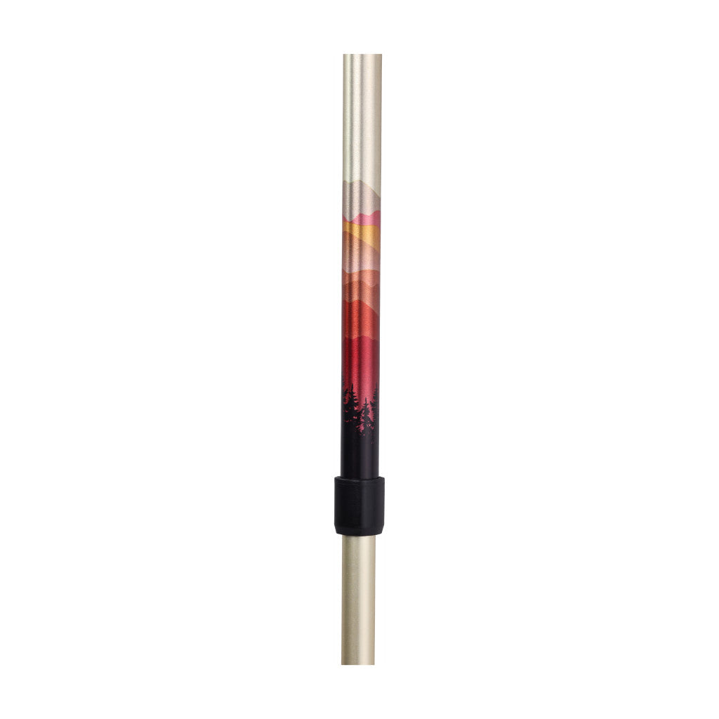 Gradient-colored walking stick with metallic accents on a white background