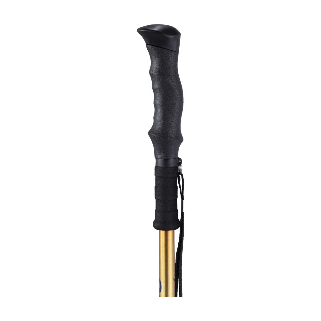 Black and gold trekking pole on a white background