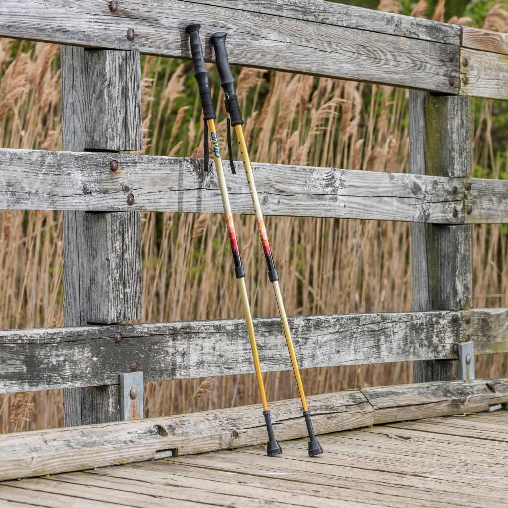 Two hiking poles leaning against a wooden fence with reeds in the background