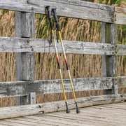 Two hiking poles leaning against a wooden fence with reeds in the background