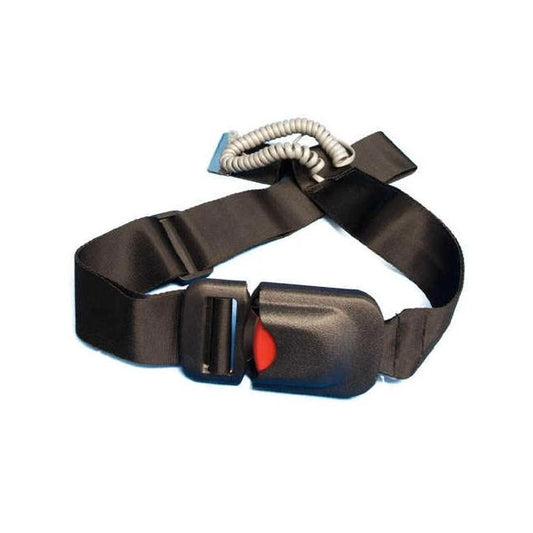 seat belt alarm