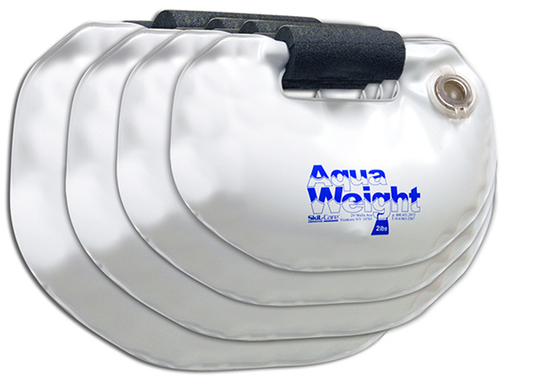 Silver Aqua Weight with black strap on a white background