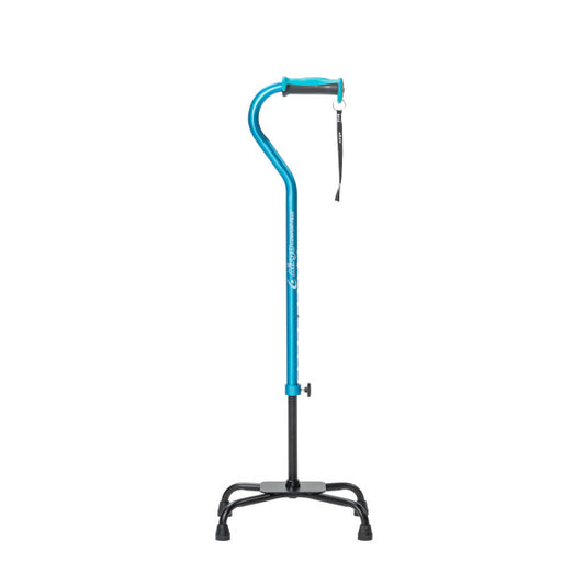 blue cane