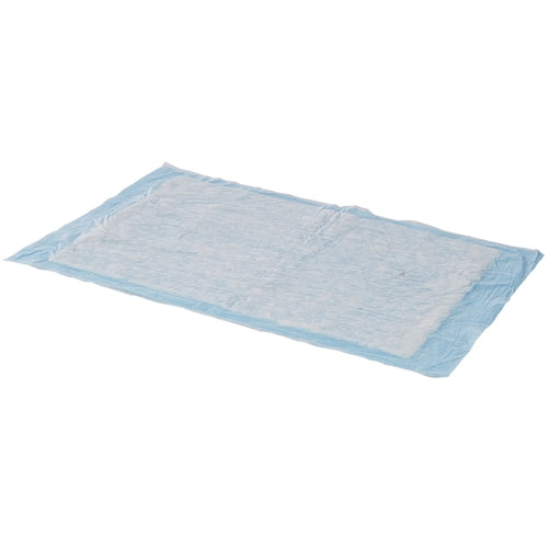 Rectangular pad with blue border on a white background