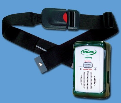safety belt and alarm for caregiver