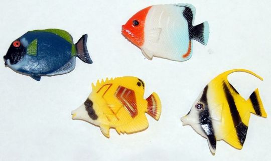 Four colorful fish toys on a white background