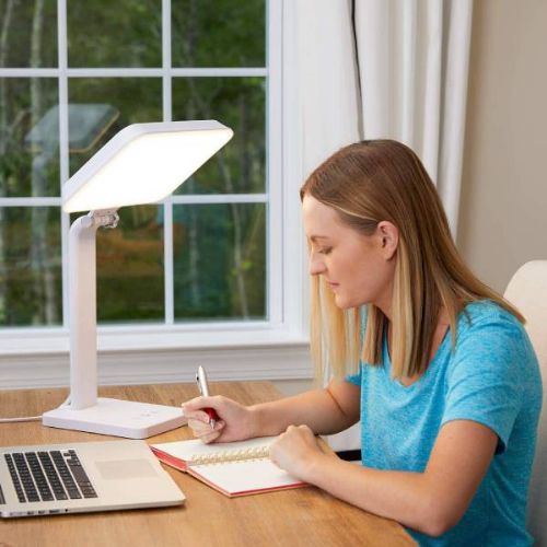 Person studying at a desk with a lamp, laptop, and notebook.