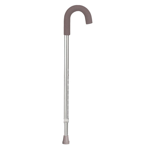silver round handle cane